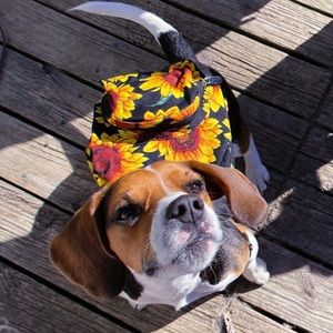 Mini Sunflower Backpack!